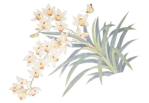 族規(guī)祖訓小故事 嵇康淡然如蘭