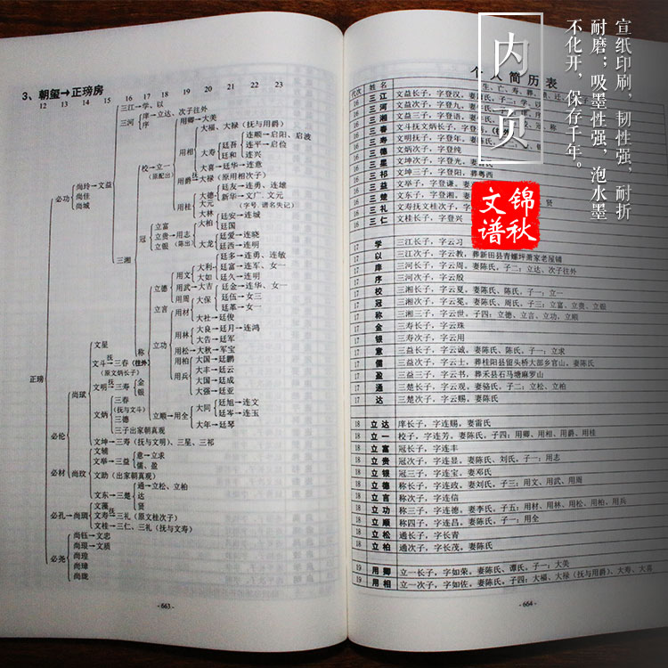 戴氏族譜格式現(xiàn)代蘇氏(圖文對(duì)照，圖文均橫排)