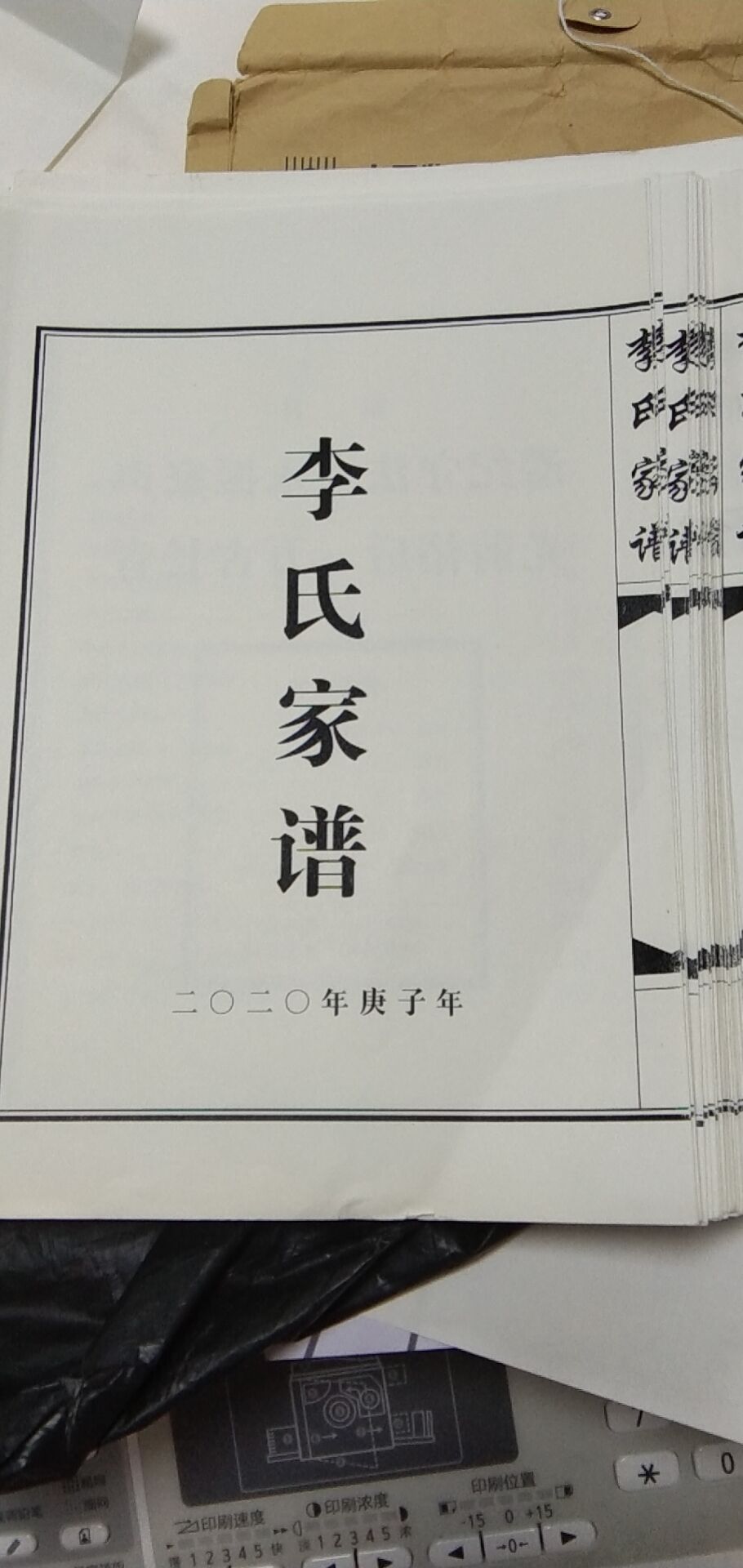 李氏家譜校稿內容