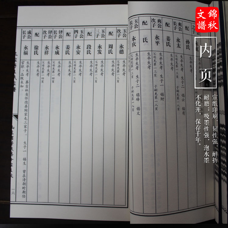 王氏家譜內(nèi)頁(yè)展示圖