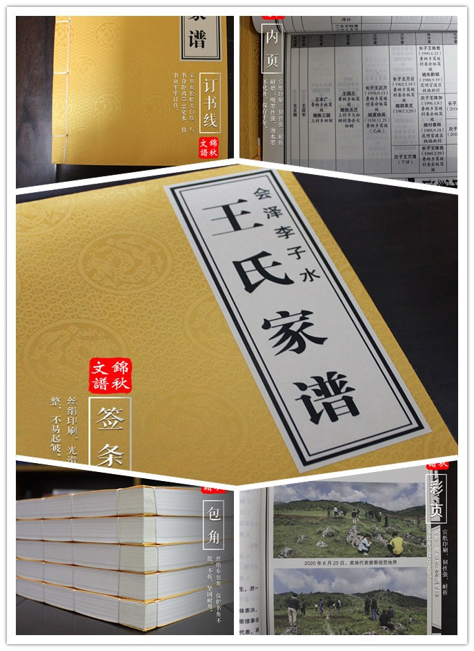李子水王氏家譜書(shū)細(xì)節(jié)圖