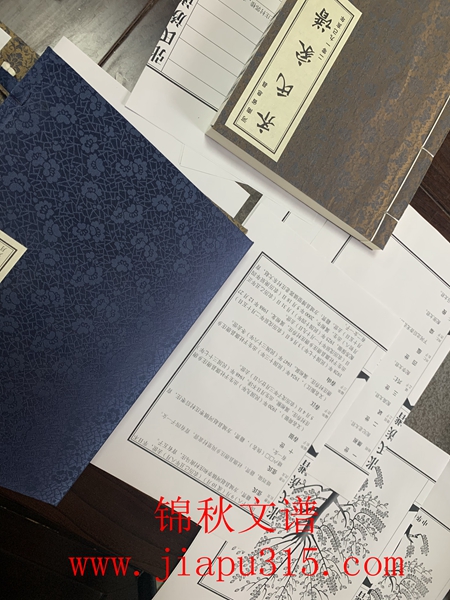 王編輯與河南商丘張氏洽談 王編輯與河南商丘張氏洽談