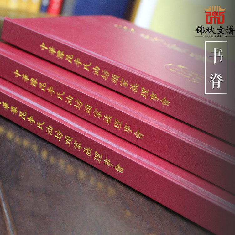 《中華豫昆李氏油坊頭家族家譜》書脊