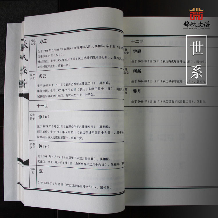 張氏族譜世系圖4