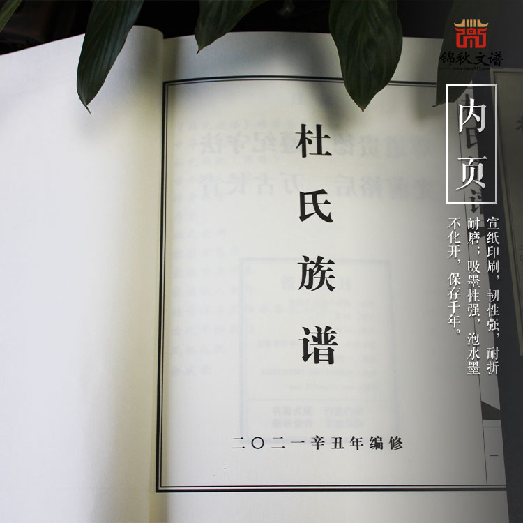 杜氏族譜內(nèi)頁圖