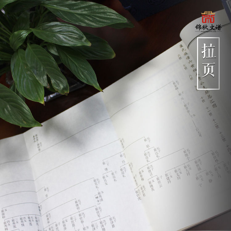 崔氏族譜拉頁展示圖1