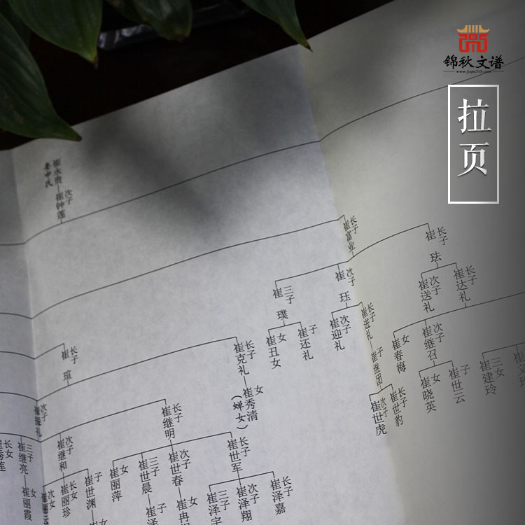 崔氏族譜拉頁展示圖2