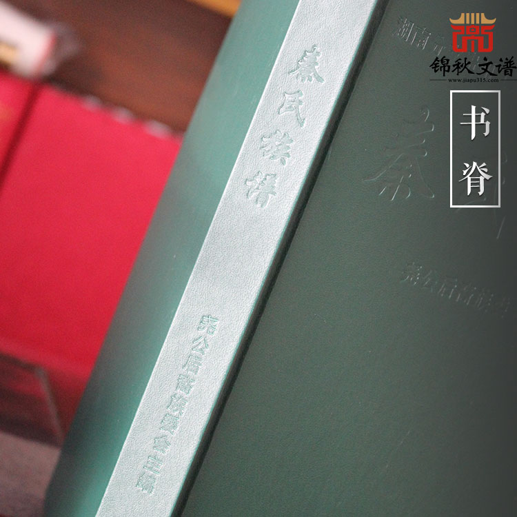 秦氏族譜書脊 秦氏族譜書脊