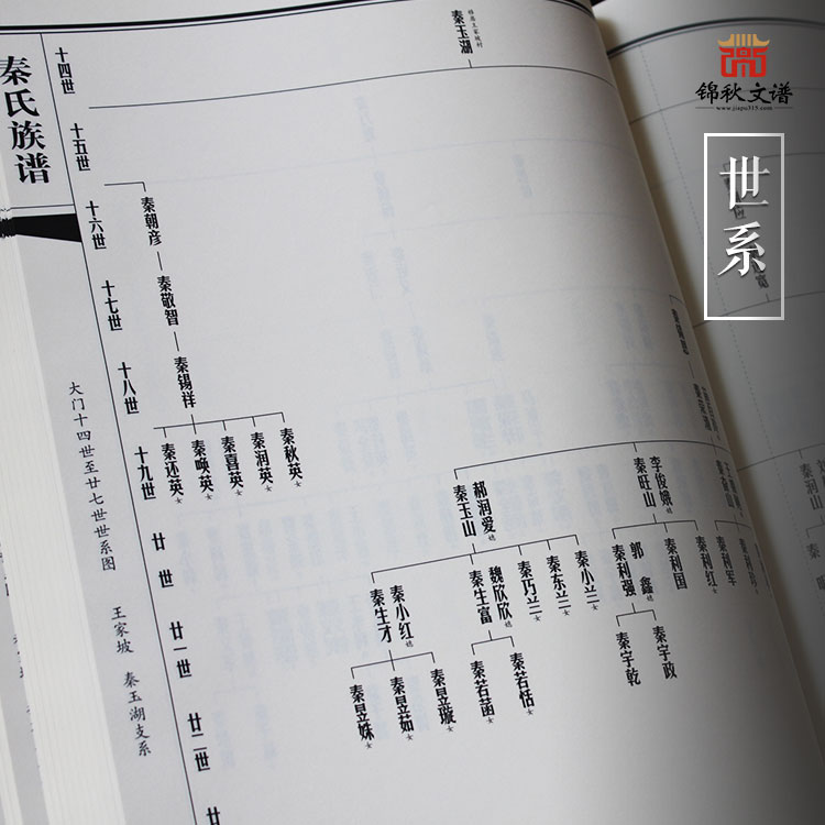 臨縣秦氏族譜世系圖2 臨縣秦氏族譜世系圖2