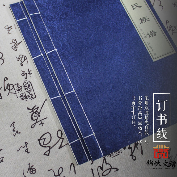 銀氏族譜訂書(shū)線