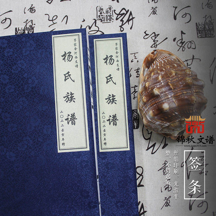 茅家舍河西支譜之《楊氏族譜》