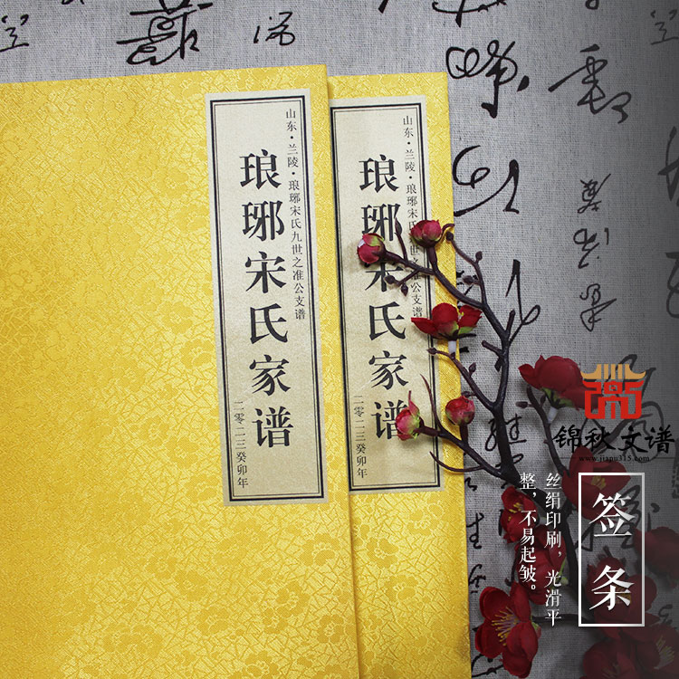 山東·蘭陵·瑯琊宋氏九世之準(zhǔn)公支譜《瑯琊宋氏家譜》