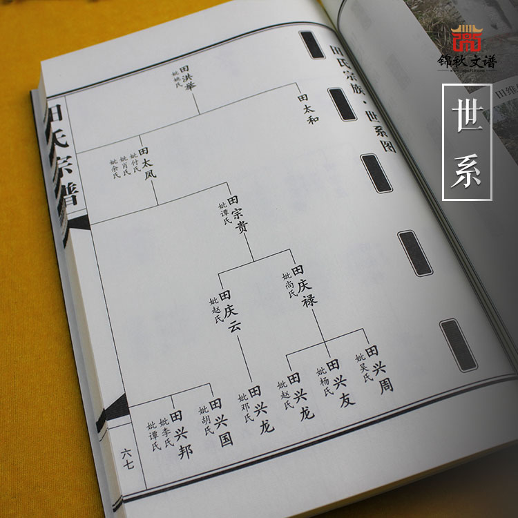 田氏宗譜世系