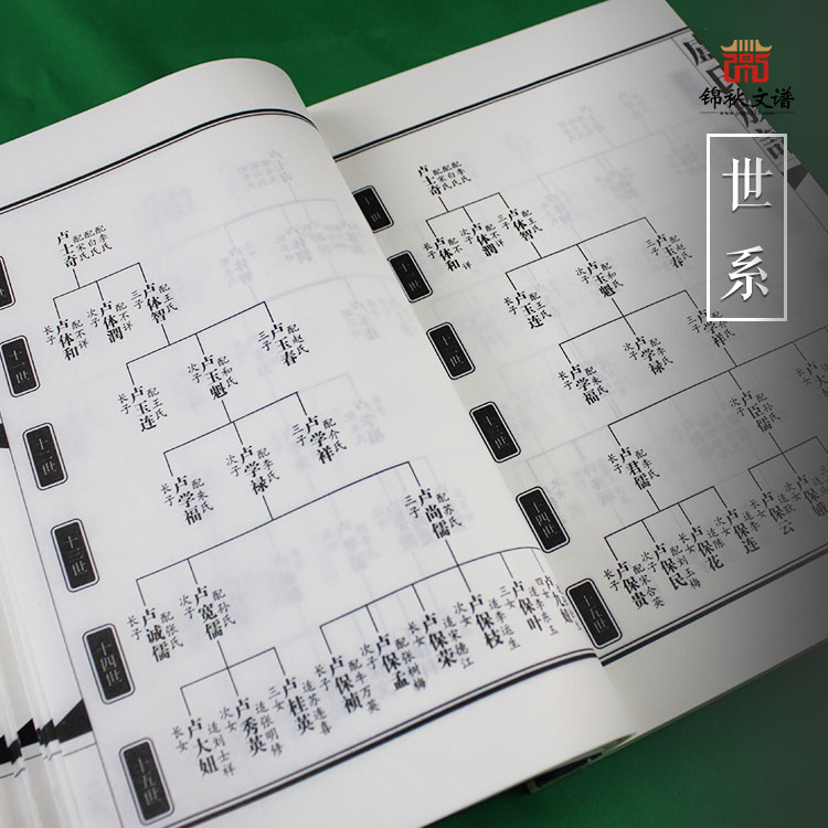 盧氏族譜世系圖1