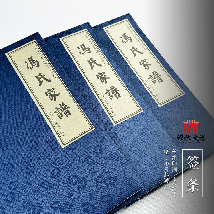 云南省文山州丘北縣樹皮鄉(xiāng)矣得村委會(huì)啊額村《馮氏家譜》