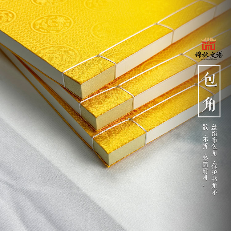 趙氏家譜訂書線